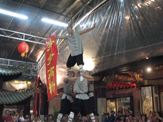 martial monks banner